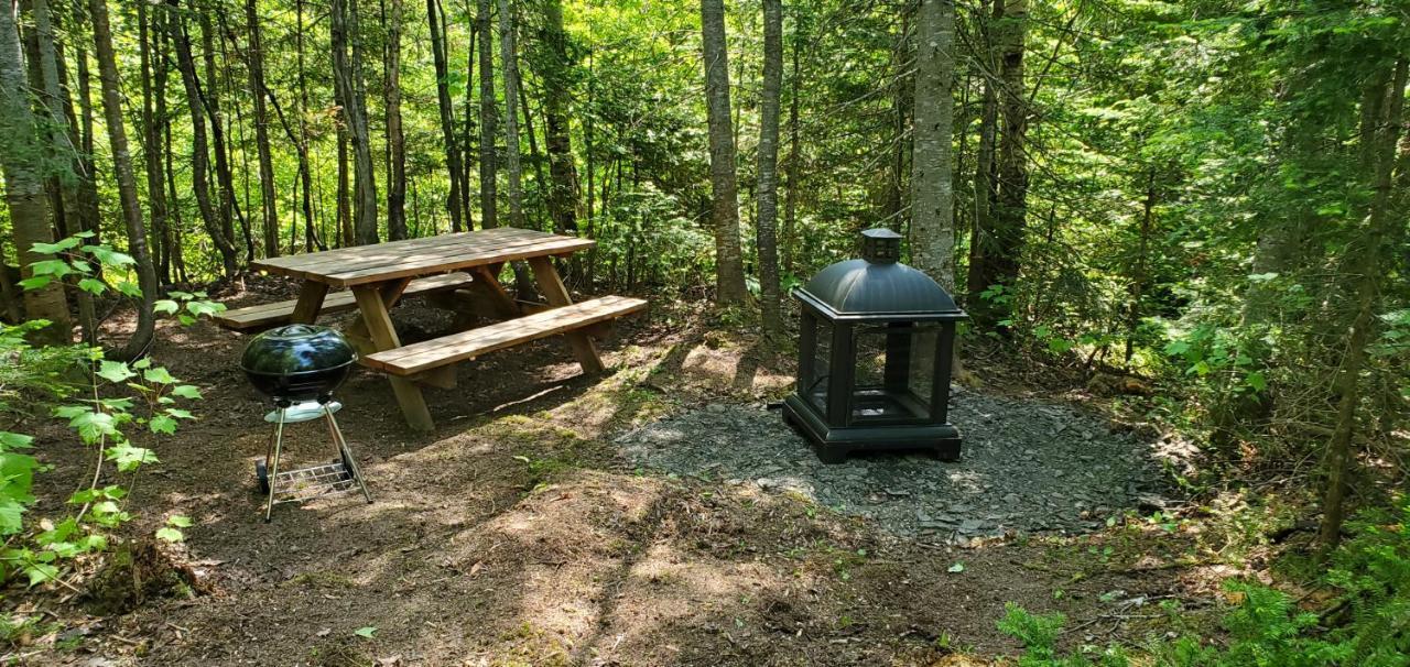 La Cabane Secrete Matane Exterior photo